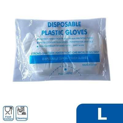 Disposable gloves L 100 pcs. PS100PCSA50L photo